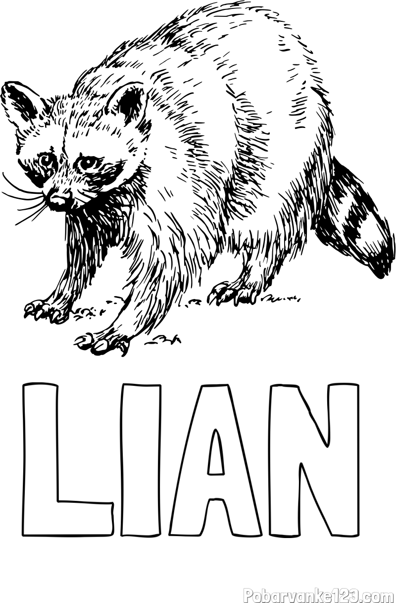 Pobarvanka imena LIAN in pobarvanka jazbeca