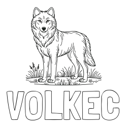 Pobarvanka imena VOLKEC in pobarvanka volka