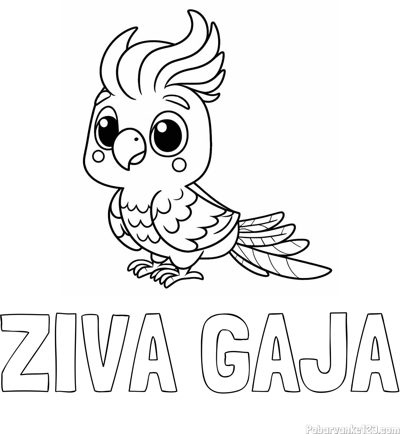 Pobarvanka imena ŽIVA GAJA in pobarvanka ljubke papige