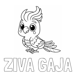 Online izdelana pobarvanka - Pobarvanka imena ŽIVA GAJA in pobarvanka ljubke papige