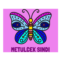 Pobarvana pobarvanka - Pobarvanka imena METULCEK SINDI in preprosta pobarvanka metulja