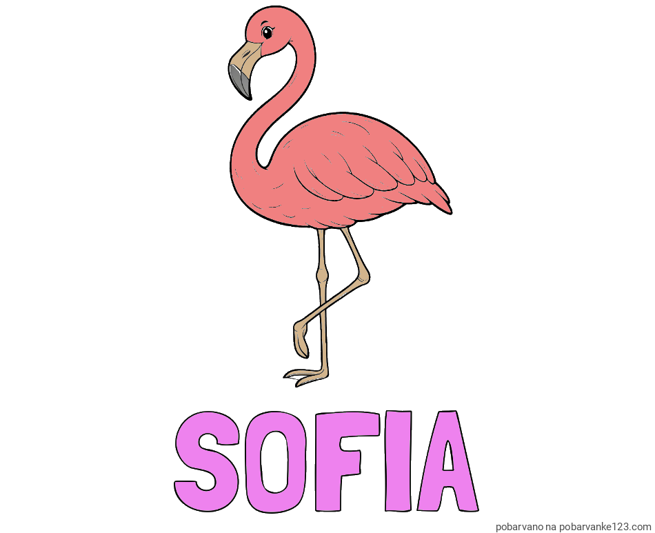 POBARVANA POBARVANKA - Pobarvanka imena SOFIA in pobarvanka flaminga