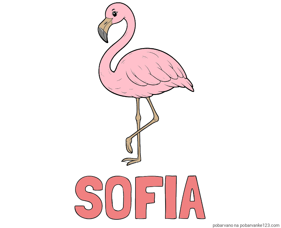 POBARVANA POBARVANKA - Pobarvanka imena SOFIA in pobarvanka flaminga