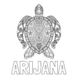 Online izdelana pobarvanka - Pobarvanka imena ARIJANA in pobarvanka želve - mandale