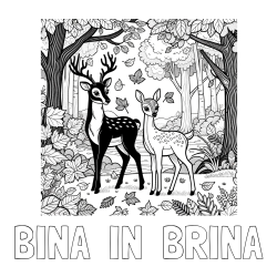 Online izdelana pobarvanka - Pobarvanka imena BINA  IN  BRINA in pobarvanka srnice in jelenčka