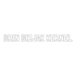 Online izdelana pobarvanka - Pobarvanka imena BRIN BIZJAK KERNEL