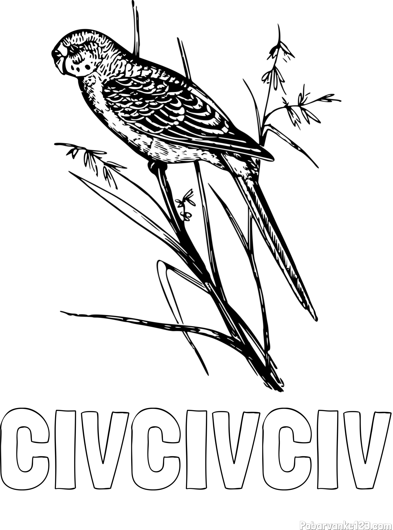 Pobarvanka imena ČIVČIVČIV in pobarvanka kanarčka