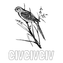 Online izdelana pobarvanka - Pobarvanka imena ČIVČIVČIV in pobarvanka kanarčka