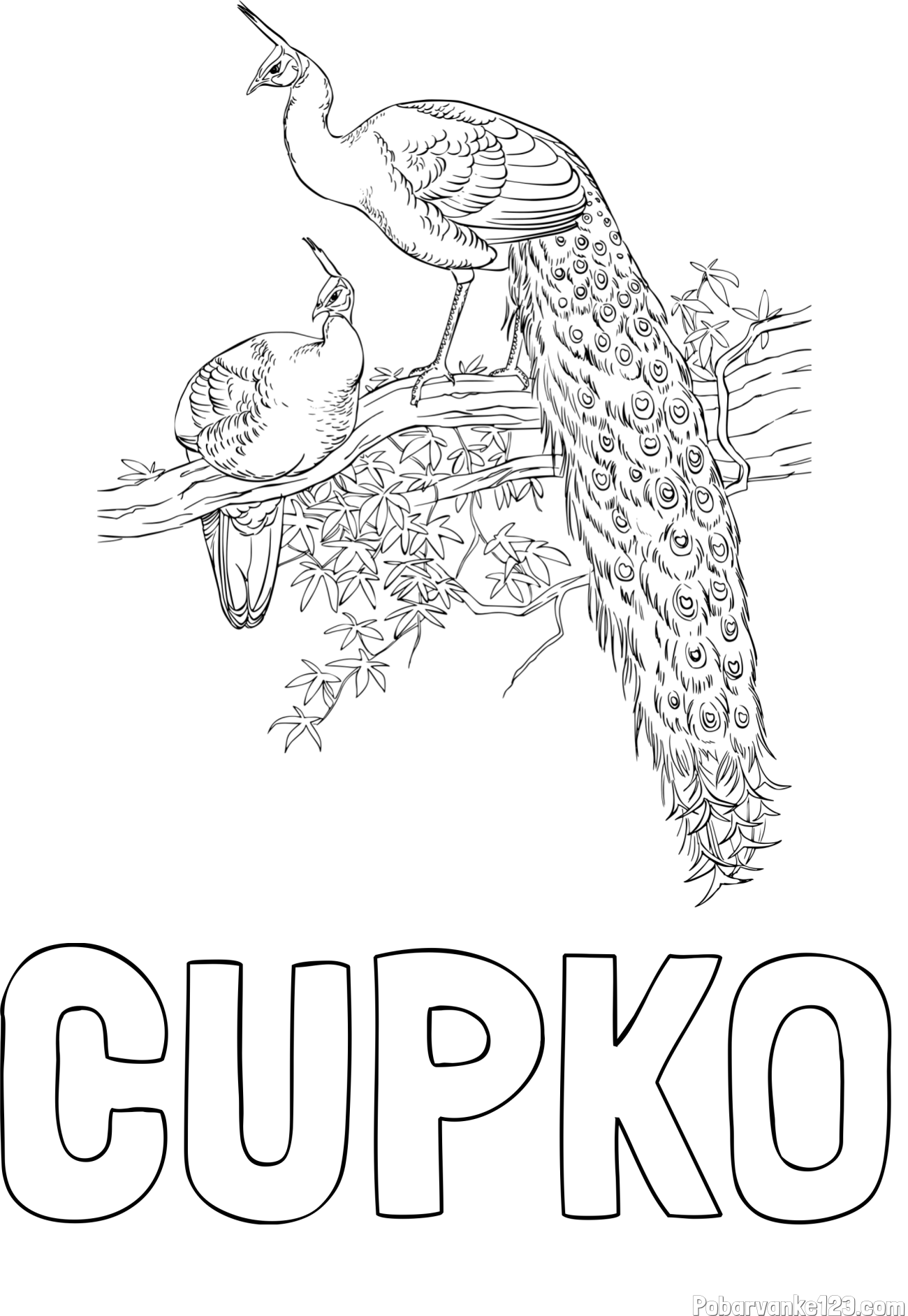 Pobarvanka imena ČUPKO in pobarvanka pava
