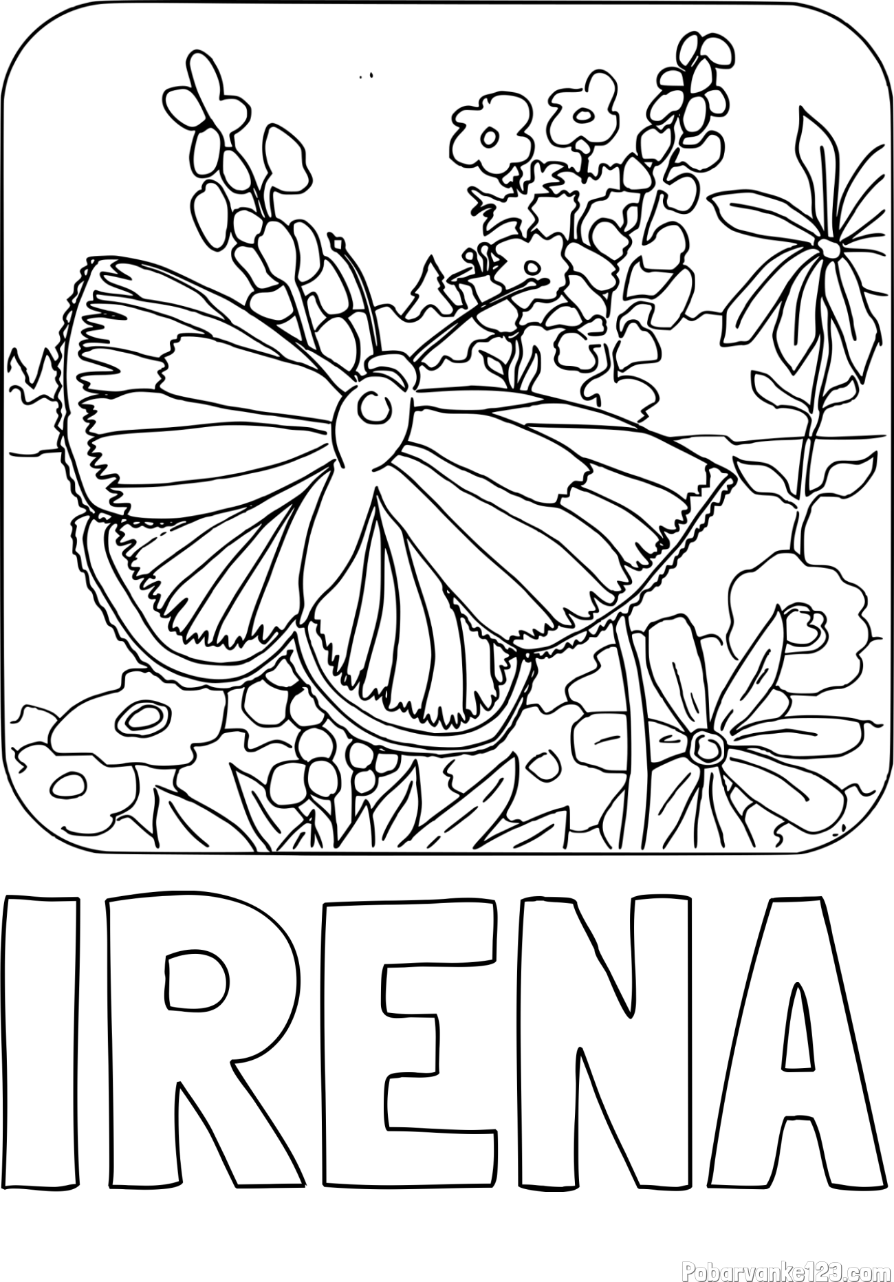 Pobarvanka imena IRENA in pobarvanka metulja v naravi