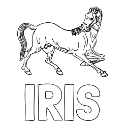 Online izdelana pobarvanka - Pobarvanka imena IRIS in pobarvanka prikupno razigranega konja