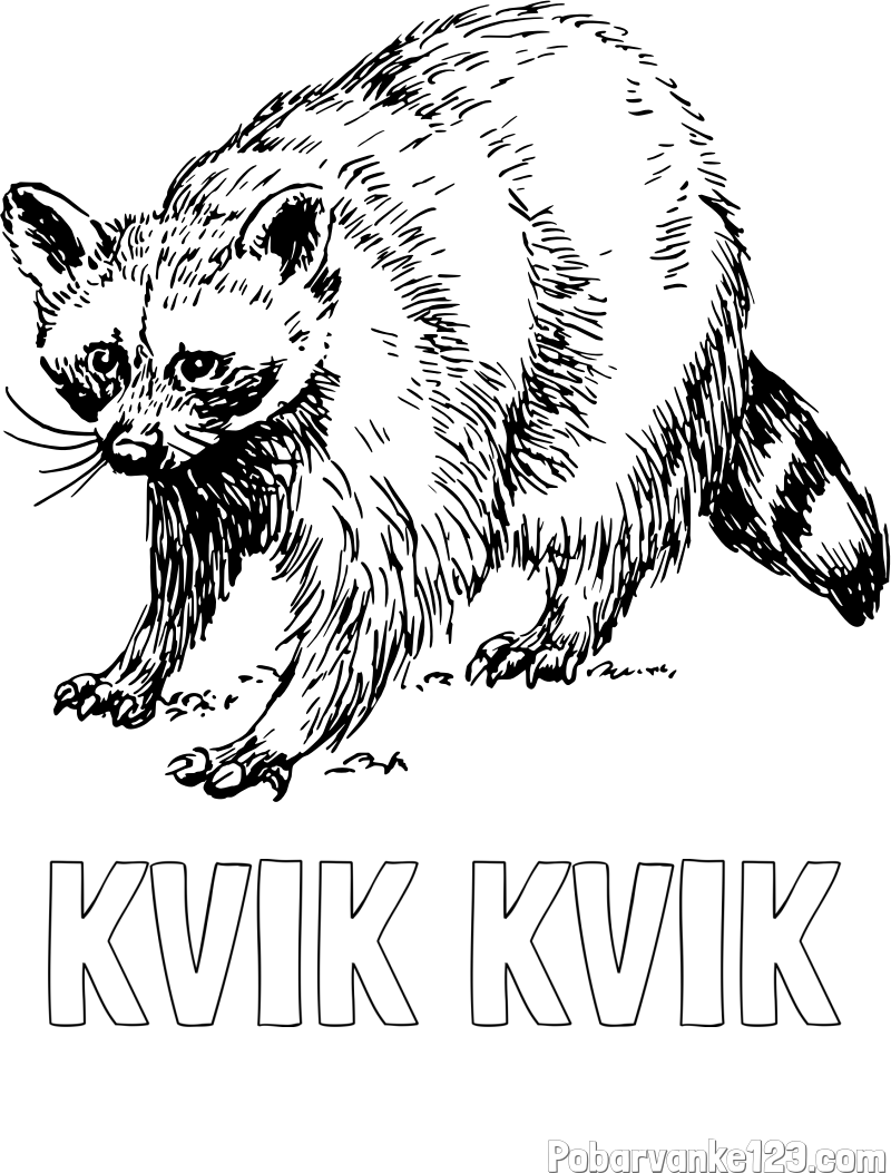 Pobarvanka imena KVIK KVIK in pobarvanka jazbeca