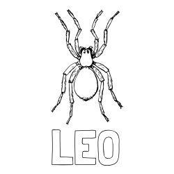 Online izdelana pobarvanka - Pobarvanka imena LEO in pobarvanka pajka - TARANTELA