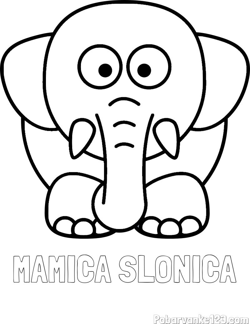 Pobarvanka imena MAMICA SLONICA in pobarvanka slona