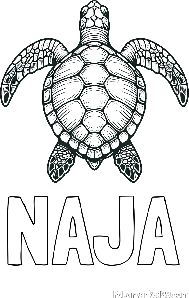Pobarvanka imena NAJA in enostavna pobarvanka želve