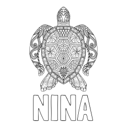 Online izdelana pobarvanka - Pobarvanka imena NINA in pobarvanka želve - mandale