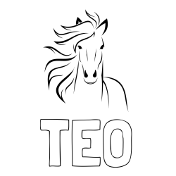 Online izdelana pobarvanka - Pobarvanka imena TEO in lepa pobarvanka konja