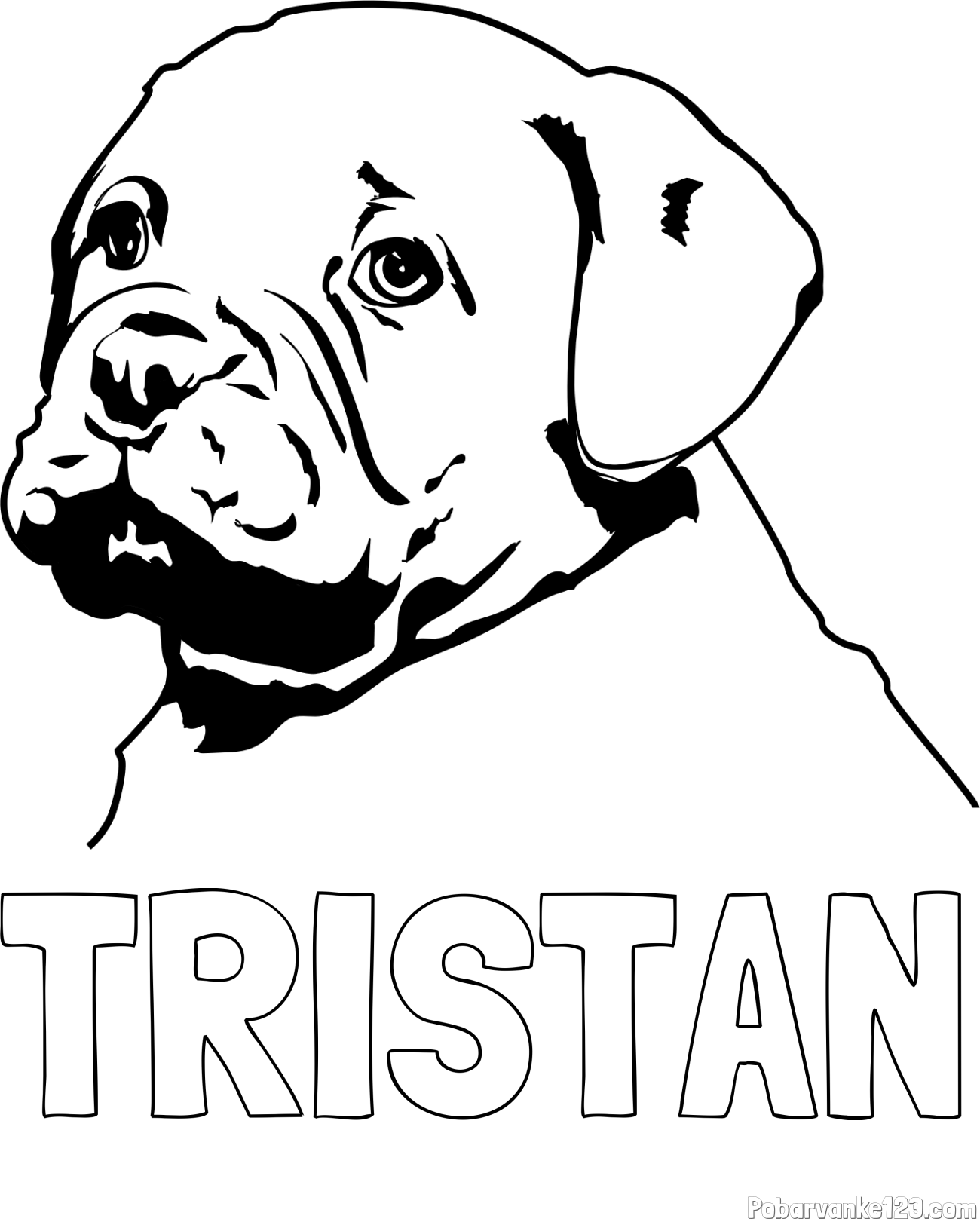 Pobarvanka imena TRISTAN in pobarvanka prikupnega bulldog mladička