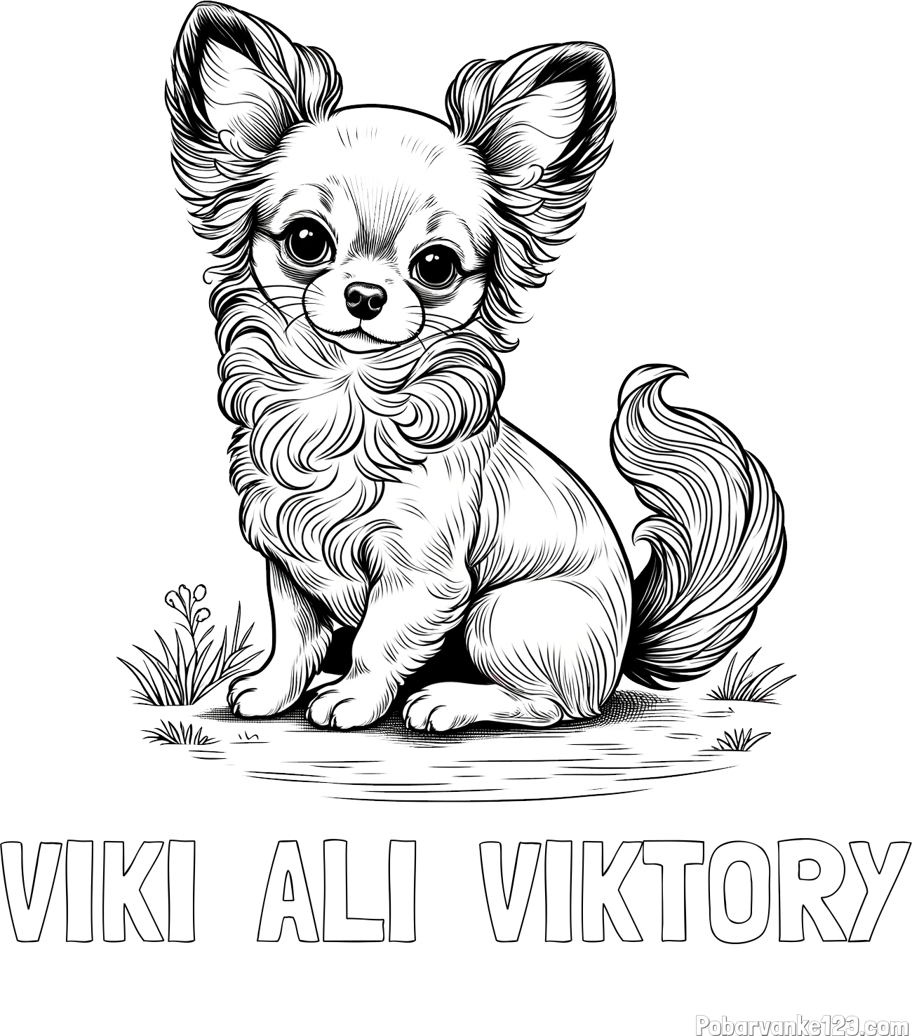Pobarvanka imena VIKI  ALI  VIKTORY in pobarvanka ljubke čivave