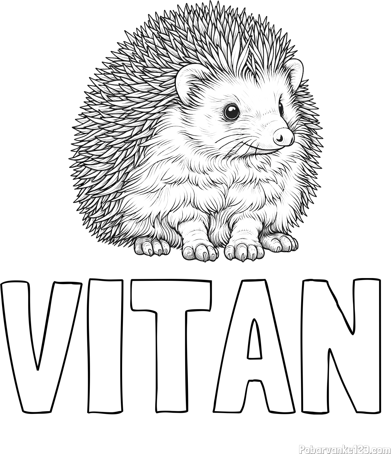 Pobarvanka imena VITAN in pobarvanka nasmejanega ježa