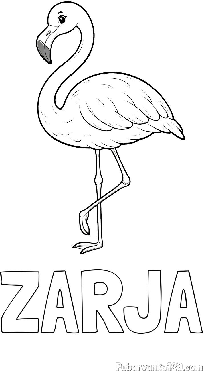 Pobarvanka imena ZARJA in pobarvanka flaminga