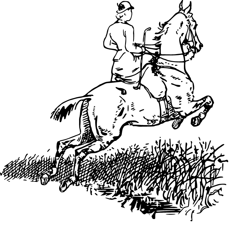 Pobarvanka jahalke