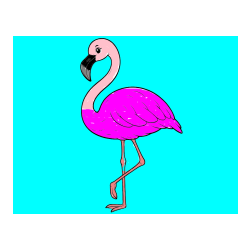 POBARVANA POBARVANKA - Pobarvanka flaminga