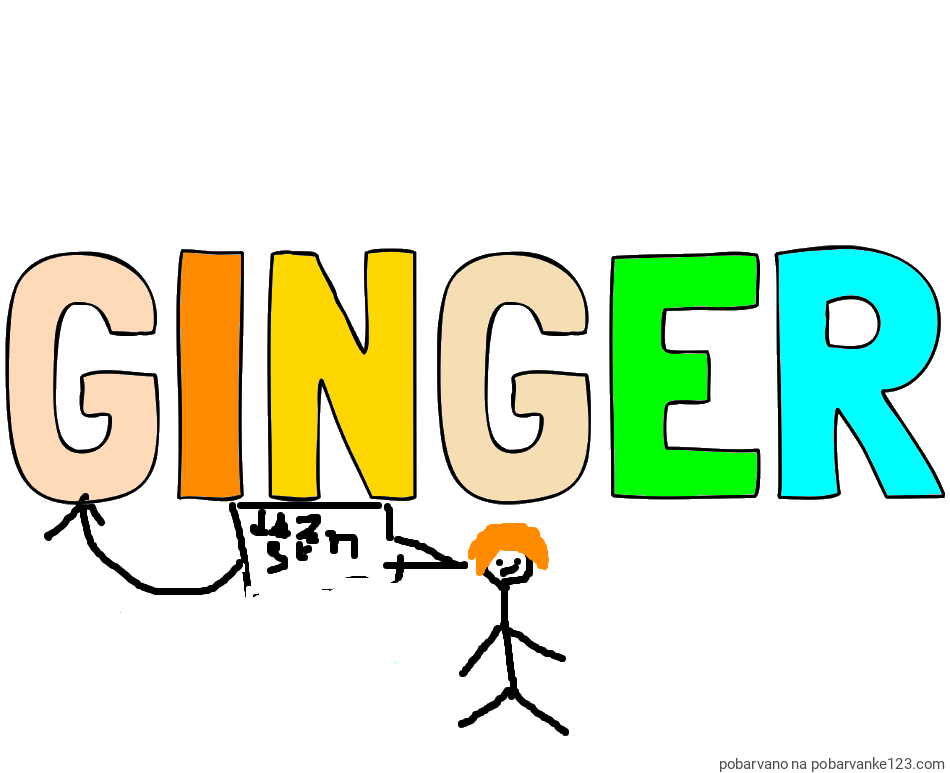 POBARVANA POBARVANKA - Pobarvanka imena GINGER