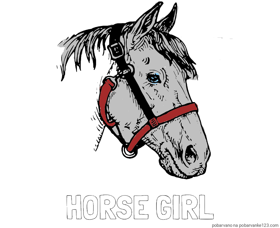 POBARVANA POBARVANKA - Pobarvanka imena HORSE GIRL in konjska glava