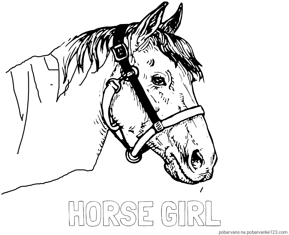 POBARVANA POBARVANKA - Pobarvanka imena HORSE GIRL in konjska glava
