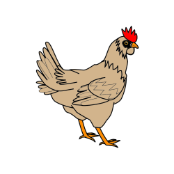 Pobarvana pobarvanka - Pobarvanka kokoške