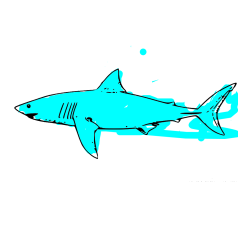 Pobarvana pobarvanka - Pobarvanka morskega psa