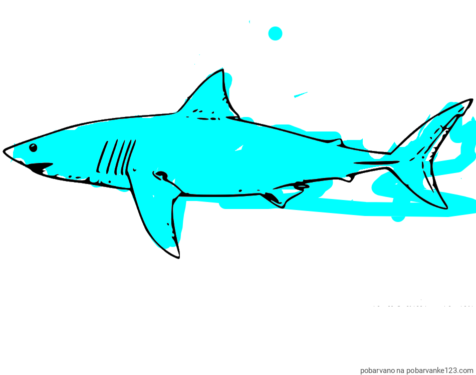 POBARVANA POBARVANKA - Pobarvanka morskega psa