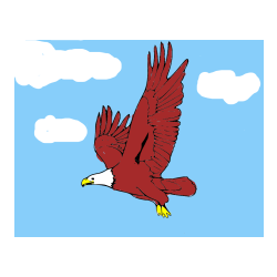 Pobarvana pobarvanka - Pobarvanka orla v letu