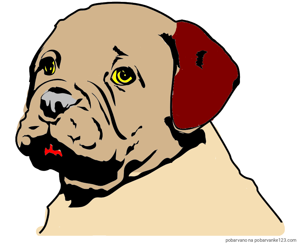 POBARVANA POBARVANKA - Pobarvanka prikupnega bulldog mladička