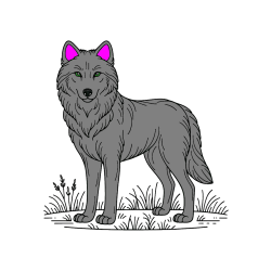 Pobarvana pobarvanka - Pobarvanka volka