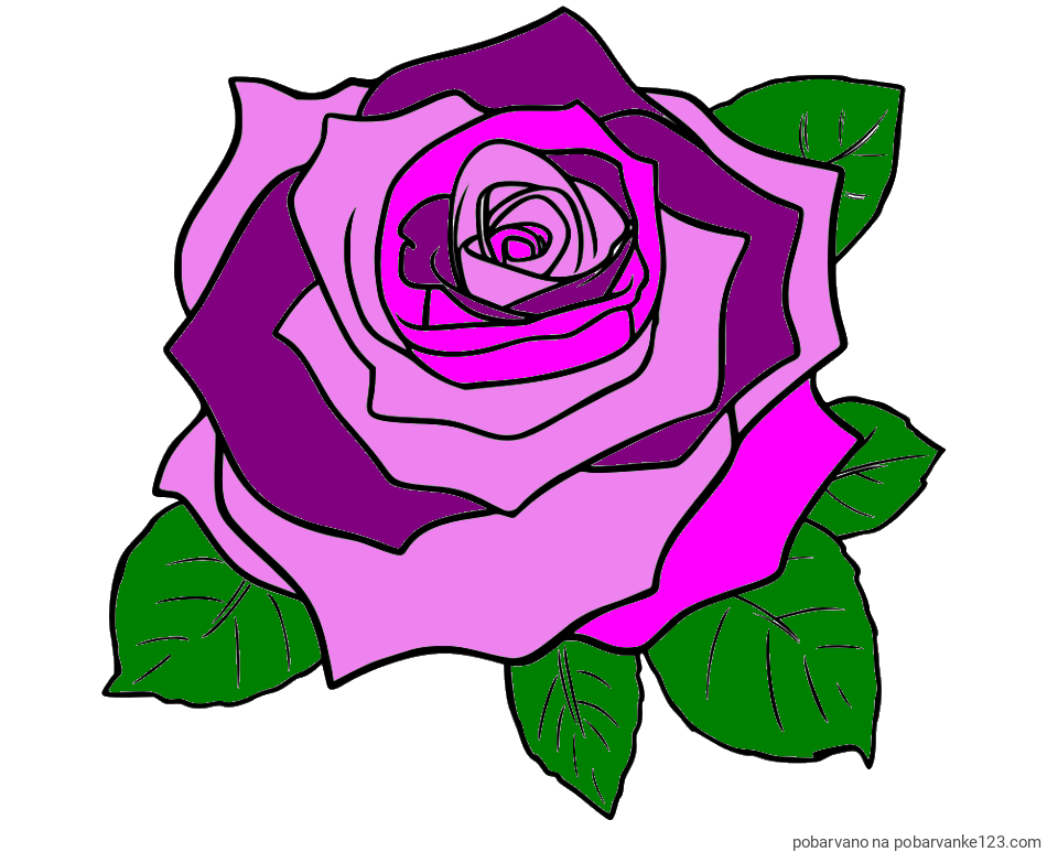 POBARVANA POBARVANKA - Pobarvanka vrtnice