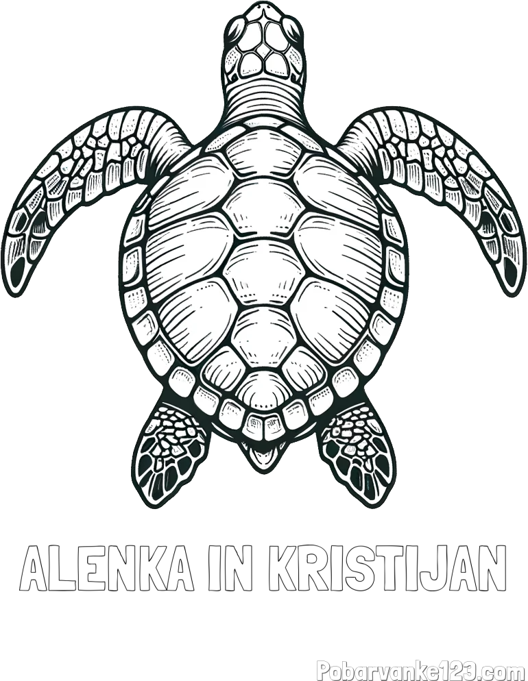 Pobarvanka imena ALENKA IN KRISTIJAN in enostavna pobarvanka želve