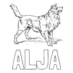 Pobarvanka imena ALJA