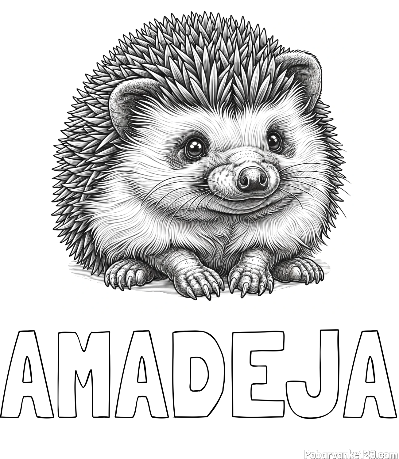 Pobarvanka imena AMADEJA in pobarvanka ježa