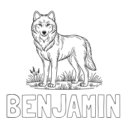 Online izdelana pobarvanka - Pobarvanka imena BENJAMIN in pobarvanka volka