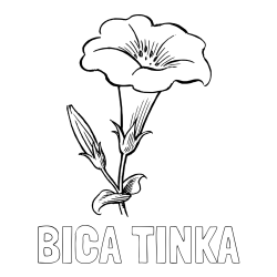 Online izdelana pobarvanka - Pobarvanka imena BICA TINKA in pobarvanka rože Gamopetalous