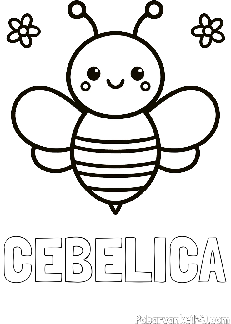 Pobarvanka imena ČEBELICA in otroška pobarvanka čebele