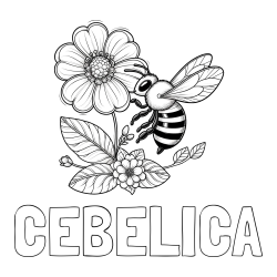 Pobarvanka imena ČEBELICA in otroška pobarvanka čebelice in rožice