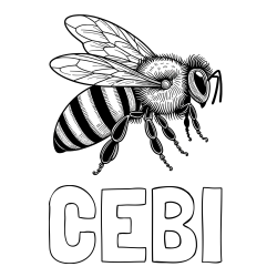Online izdelana pobarvanka - Pobarvanka imena ČEBI in pobarvanka realistične čebele