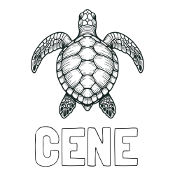 Online izdelana pobarvanka - Pobarvanka imena CENE in enostavna pobarvanka želve