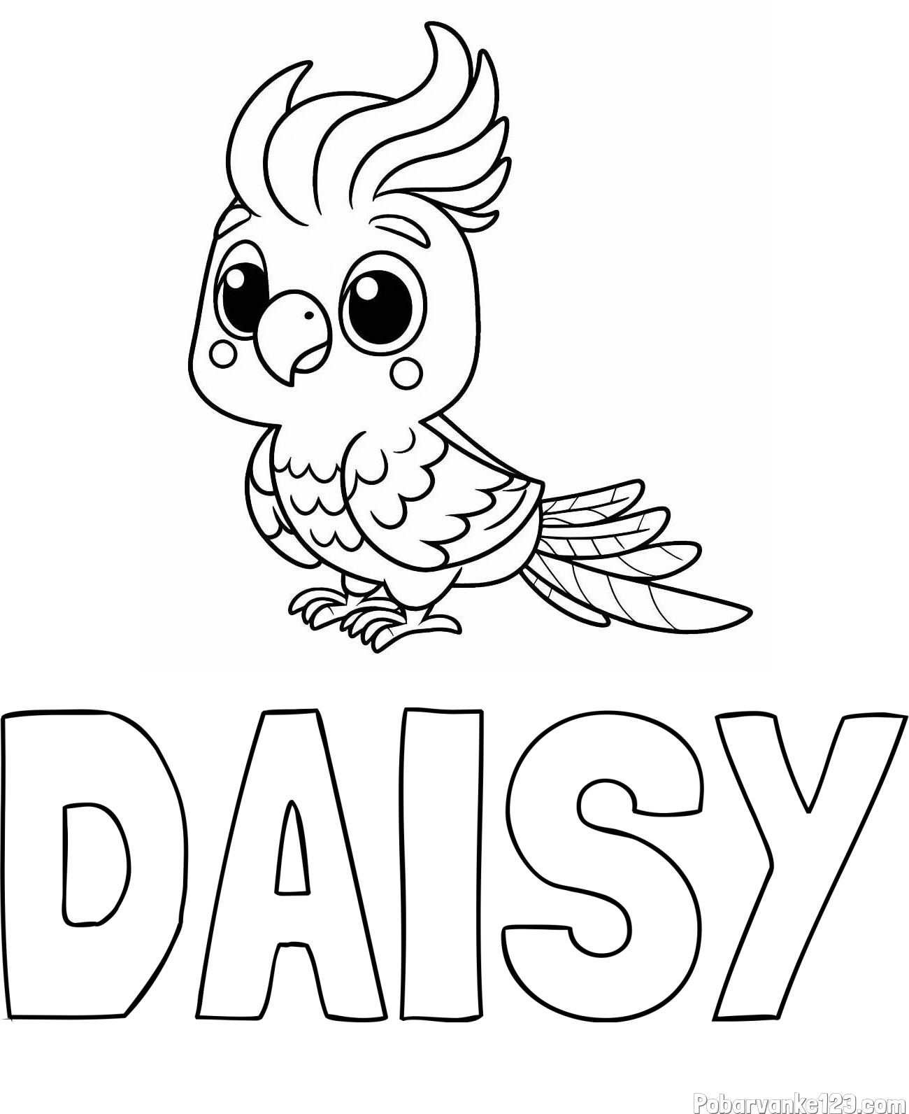 Pobarvanka imena DAISY in pobarvanka ljubke papige
