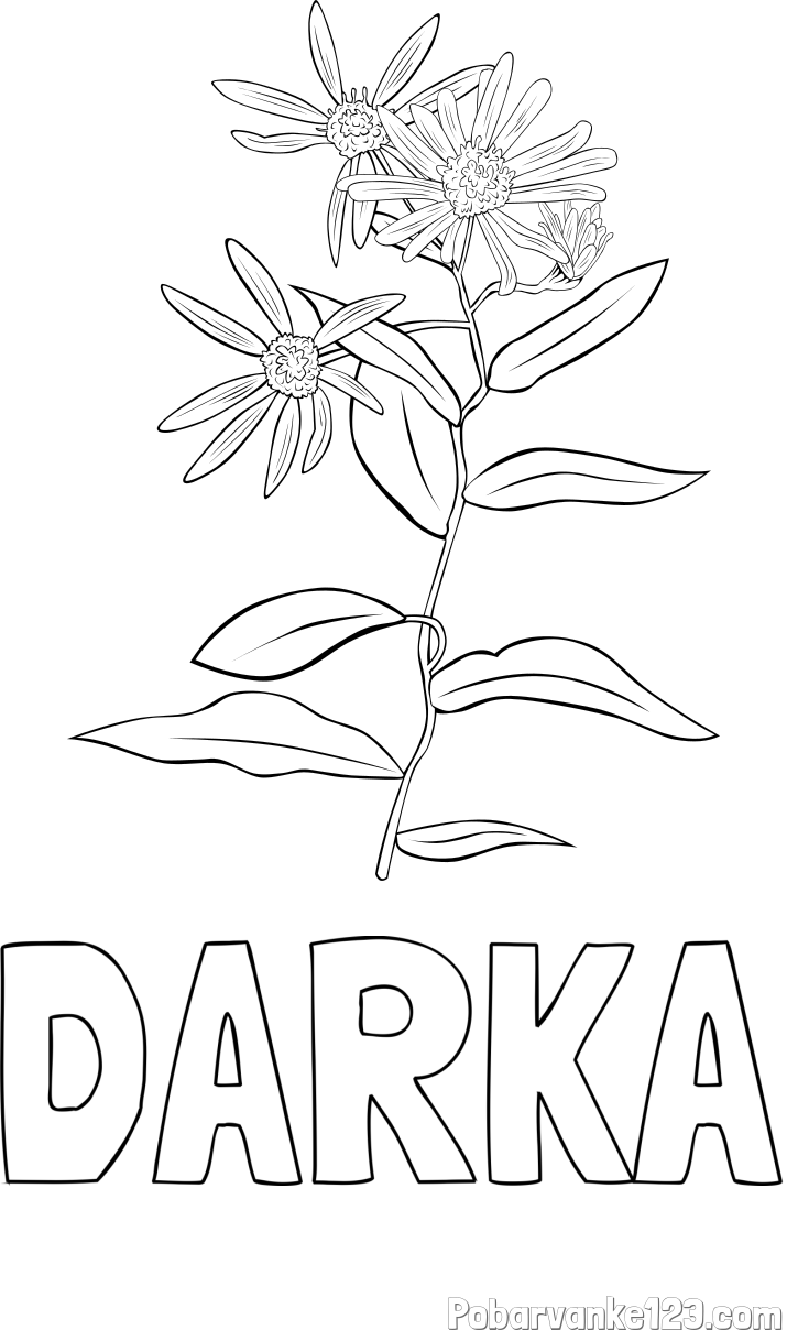 Pobarvanka imena DARKA in pobarvanka cvetlice