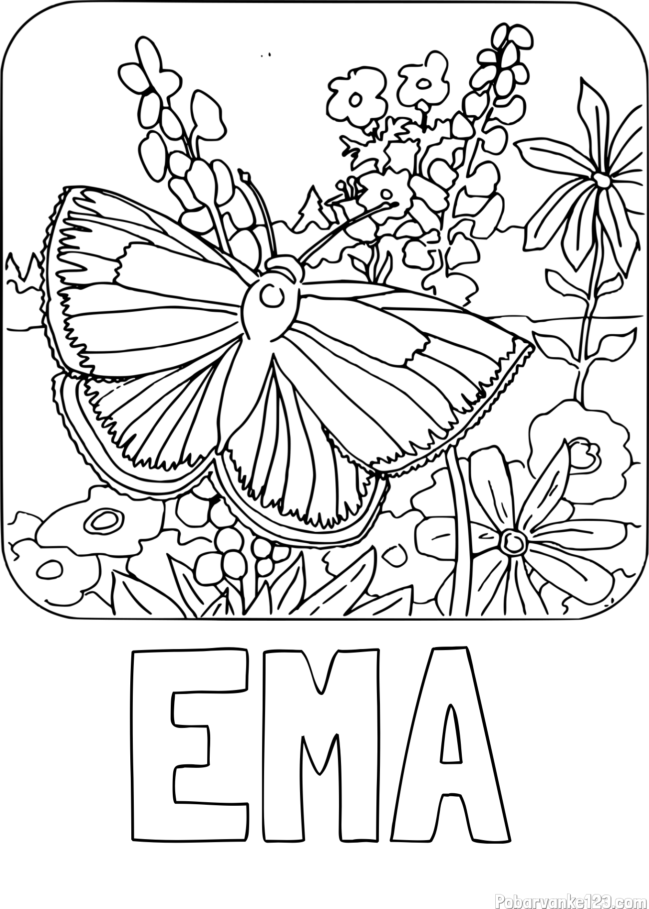 Pobarvanka imena EMA in pobarvanka metulja v naravi
