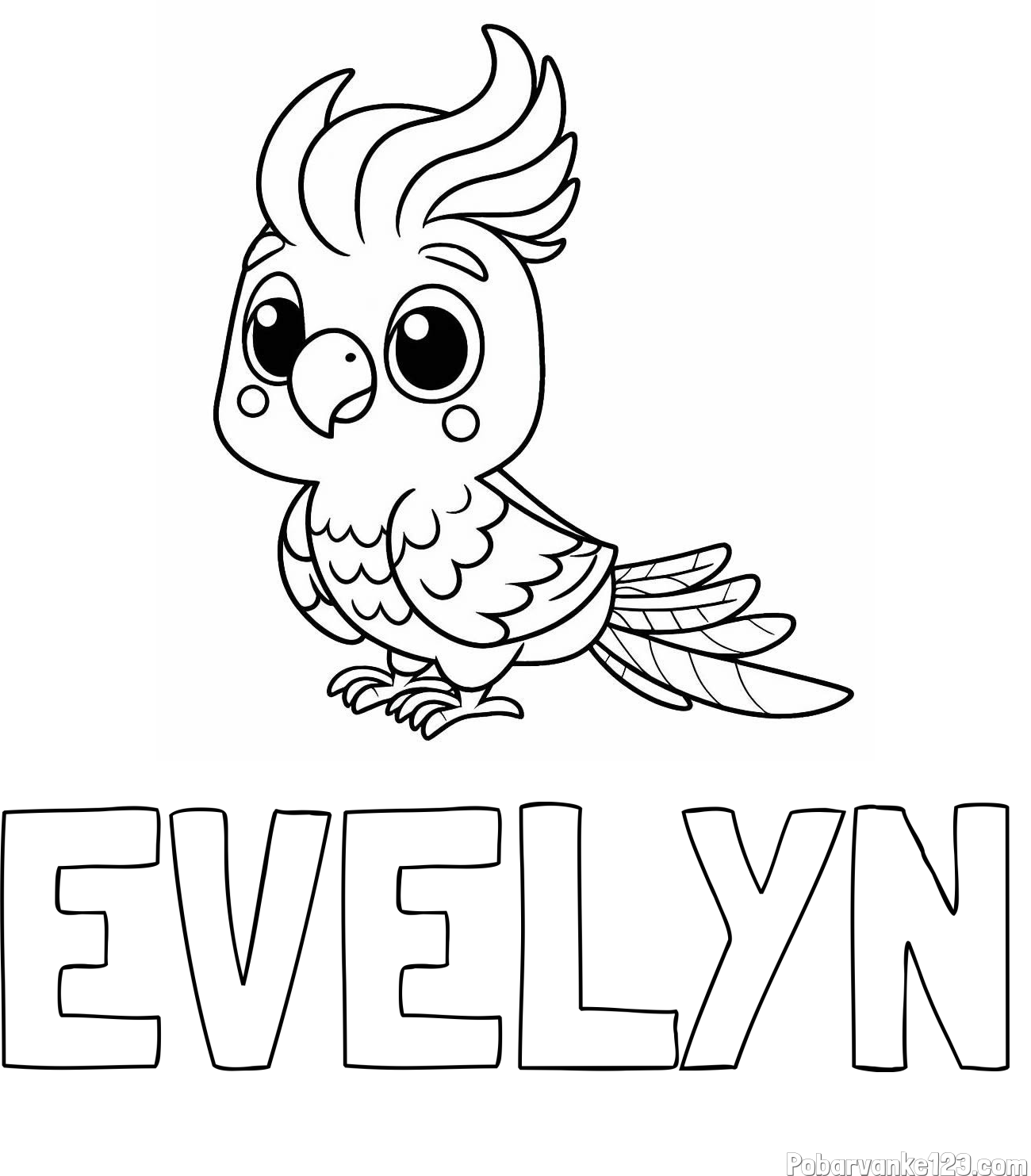 Pobarvanka imena EVELYN in pobarvanka ljubke papige
